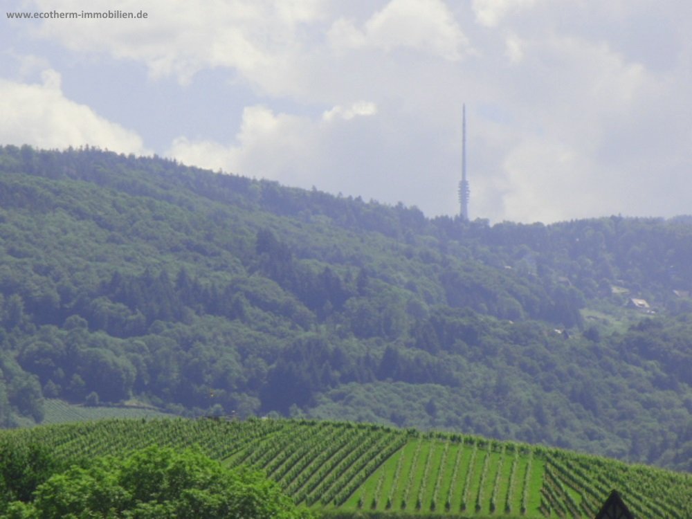 3-Zi.-Wohnung mit herrlicher Aussicht in Obersasbach (ETW,OG,Scheffold) — Aussicht