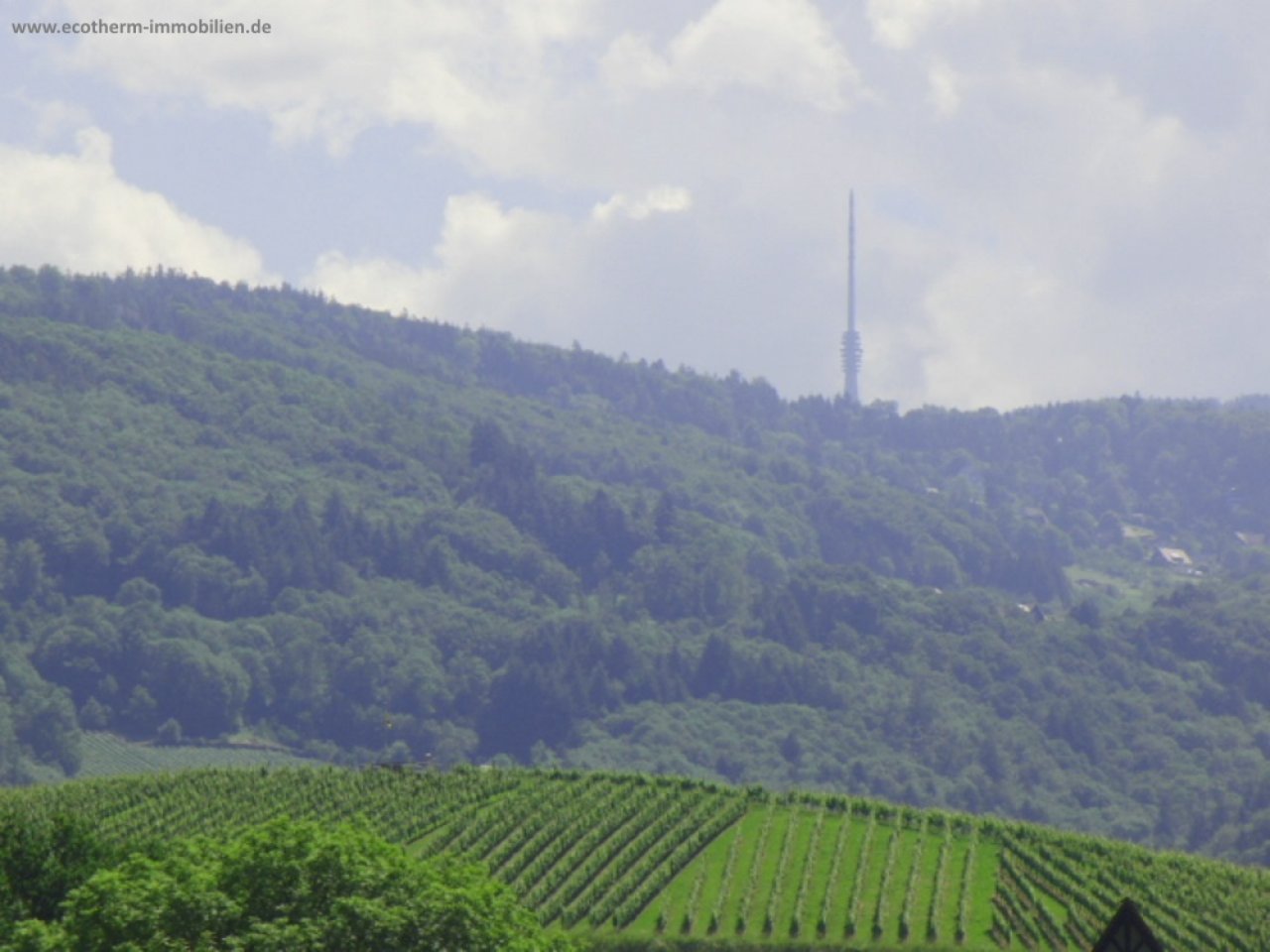 3-Zi.-Wohnung mit herrlicher Aussicht in Obersasbach (ETW,OG,Scheffold) — Aussicht