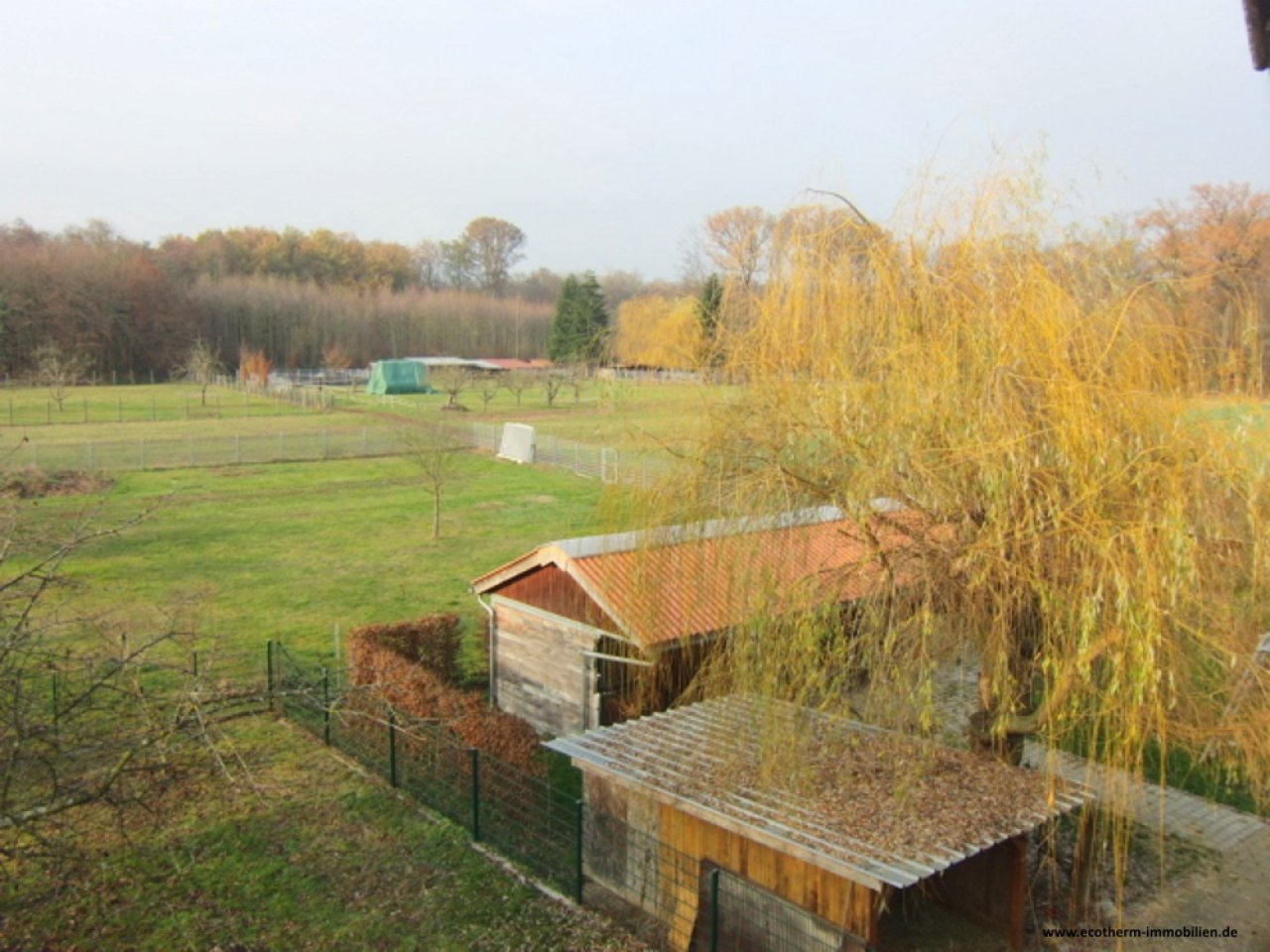 Großzügiges 2FH auf großem Grundstück in Schutterwald-Langhurst (ZFH, Studer) — Aussicht
