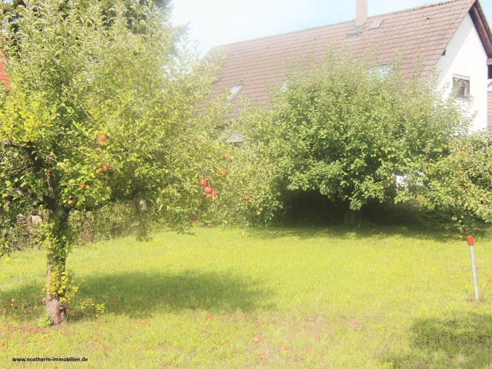 Attraktives EFHaus mit ELW in Rheinau (EFH, Pohlhaus) — Terrasse