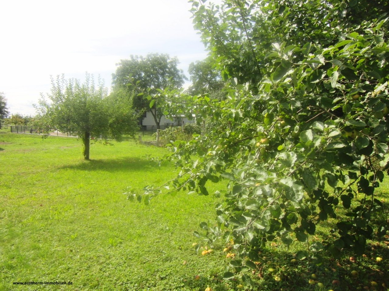 Attraktives EFHaus mit ELW in Rheinau (EFH, Pohlhaus) — Garten