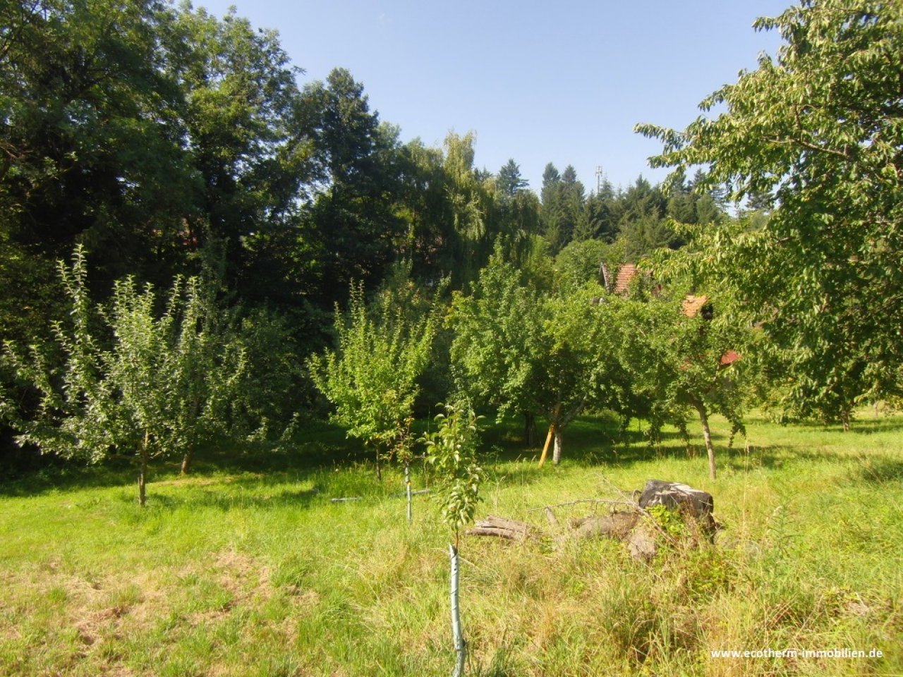 Ein- bis Zweifamilienhaus mit beeindruckend großem Grundstück in Bühl-Neusatz (EZFH, Ecotherm) — Grundstück