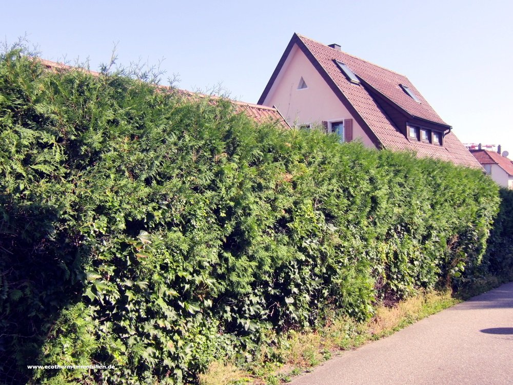 Gefälliges EFH in Achern (EFH, Hund)