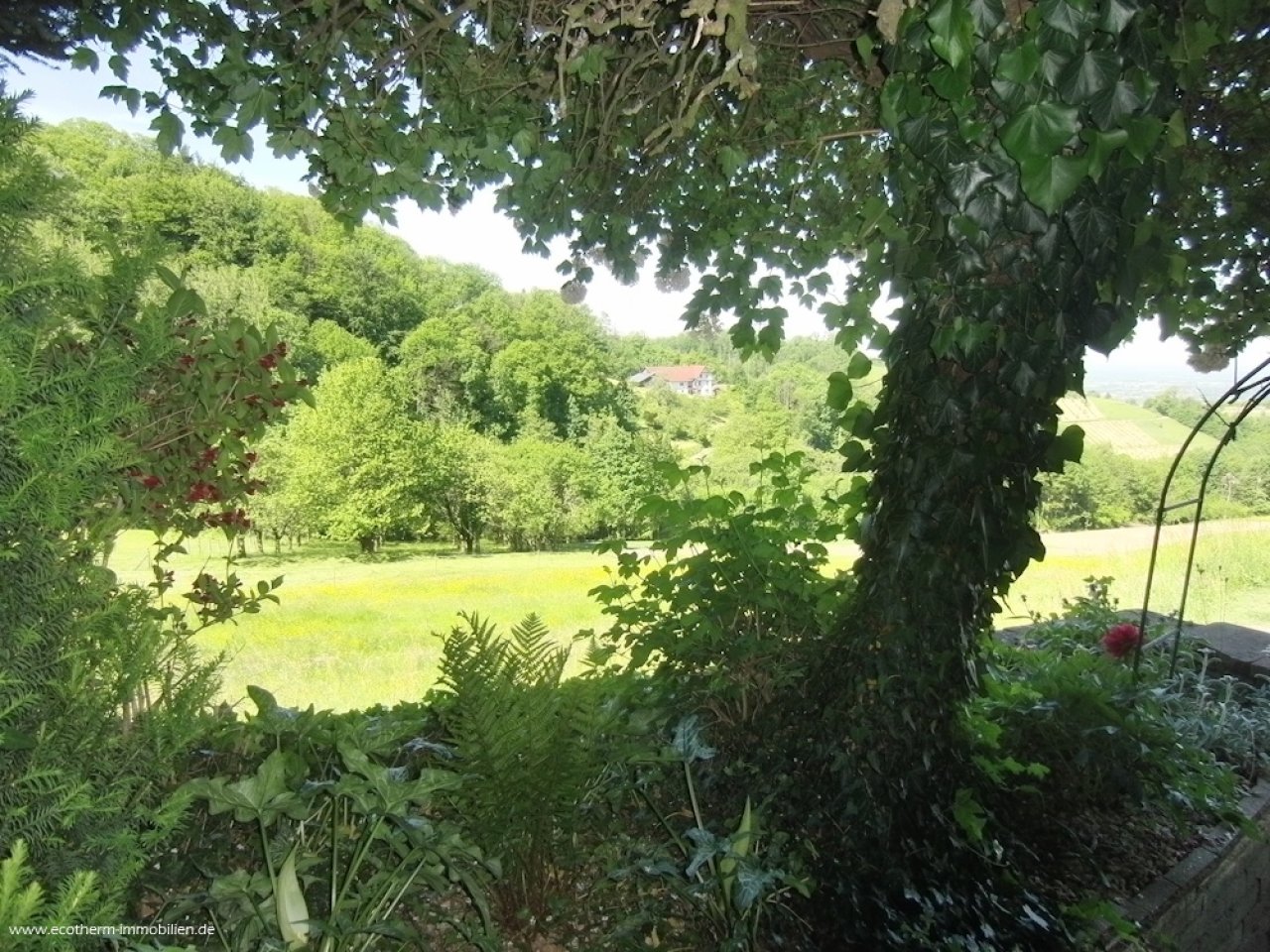 Wohnen wo andere Urlaub machen (EFH, Glaser)